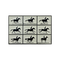 "Horse in Motion" Enamel Pin