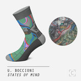 States of Mind Socks