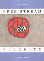 Free Stream Velocity